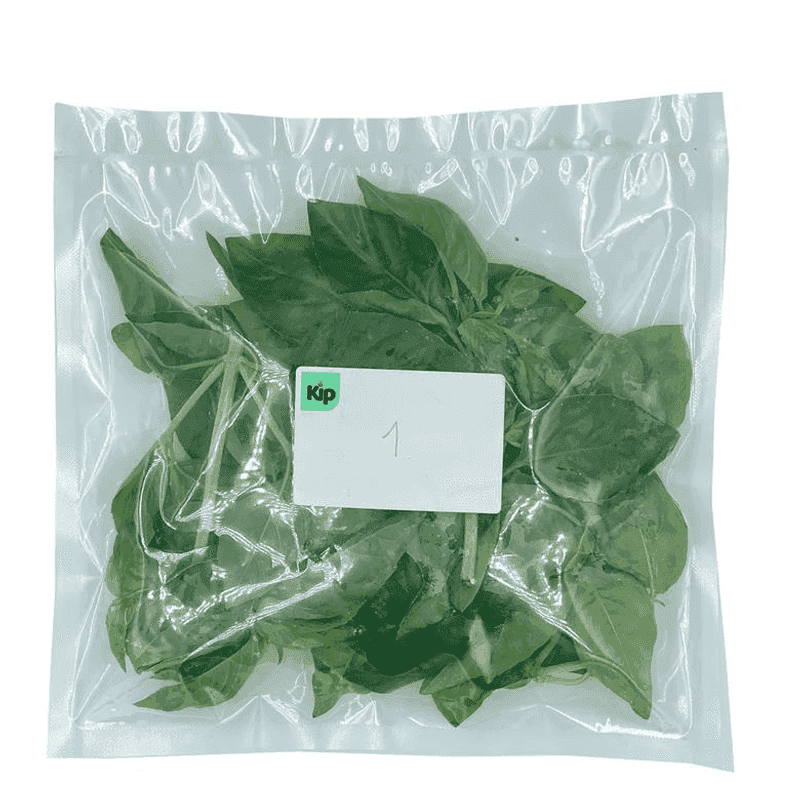 Albahaca