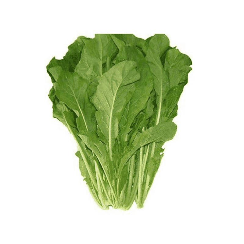 Arúgula