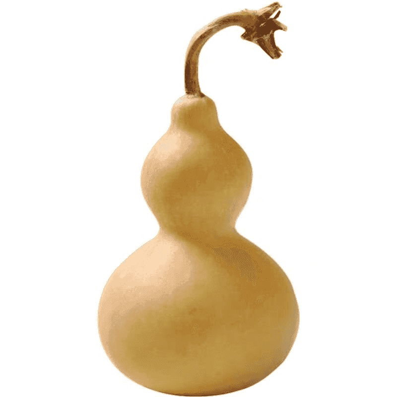 Calabaza seca