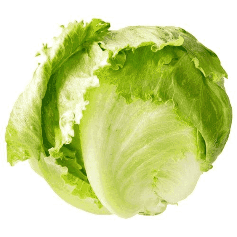 Lechuga iceberg