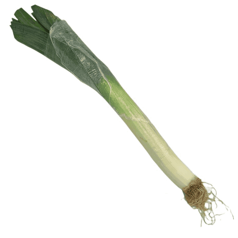 Puerro