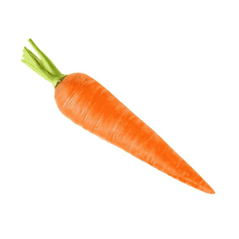 Zanahoria